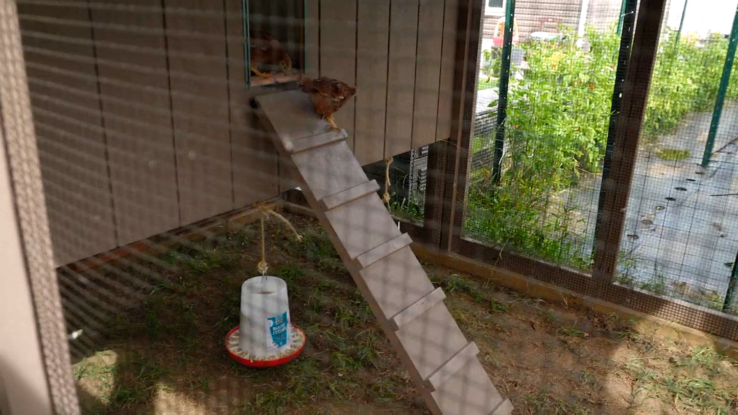 Chicken Coop Accessories Kit